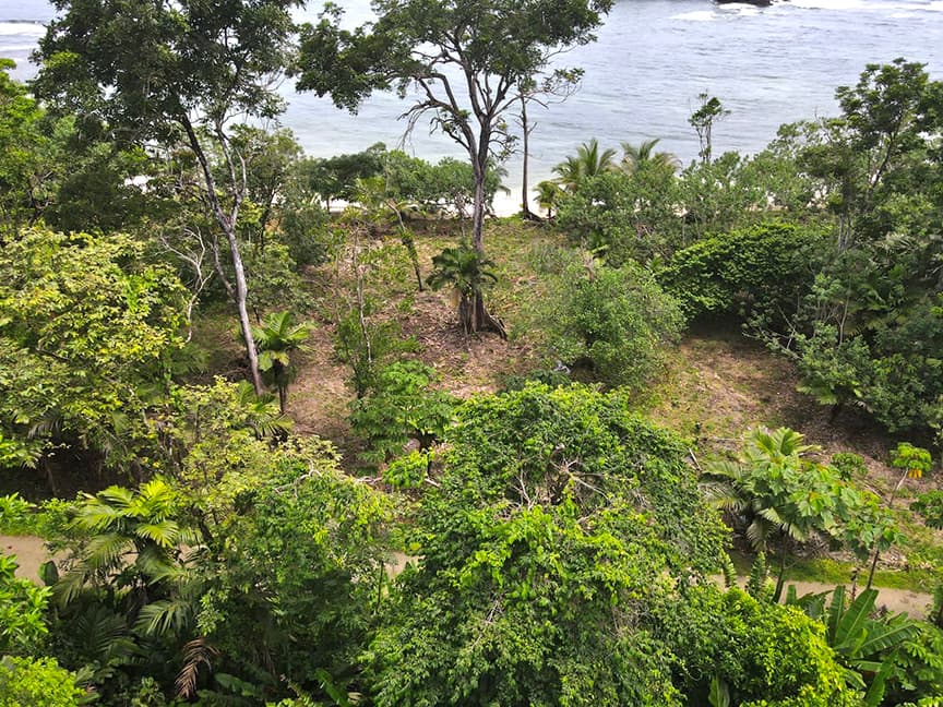 Pristine Beachfront Land Red Frog Beach Bocas del Toro $410K Investment - Photo 3
