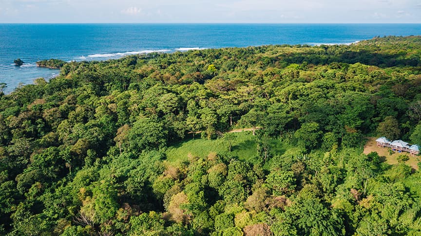 Hillside Ocean View Land | Red Frog Beach Bocas del Toro | $299K - Photo 2