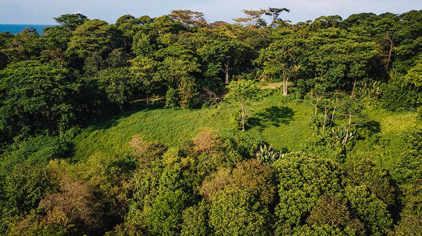 Hillside Ocean View Land | Red Frog Beach Bocas del Toro | $299K - Photo 5