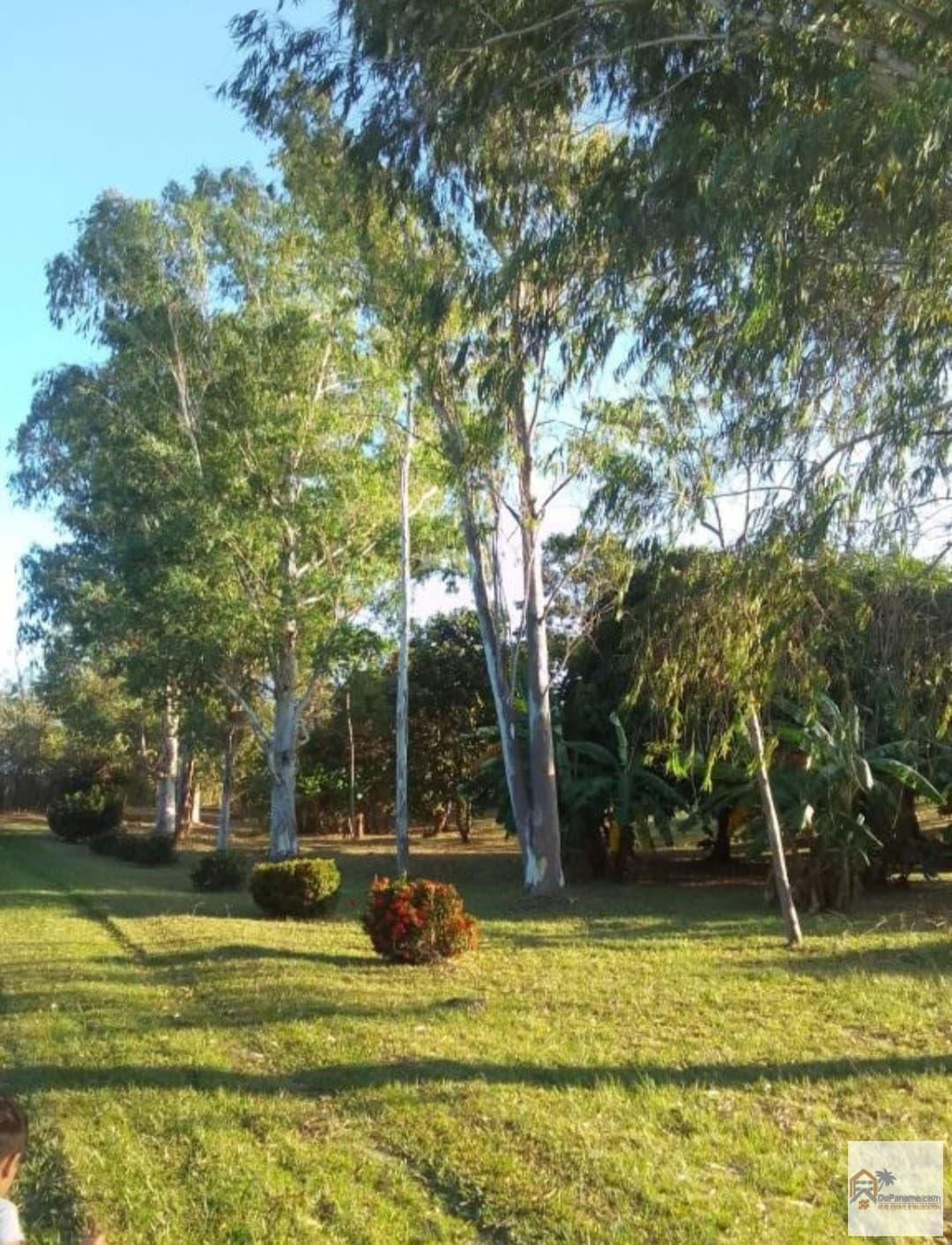 2.7 Hectares Paradise Las Lajas - Mountain & Sea Views $702K