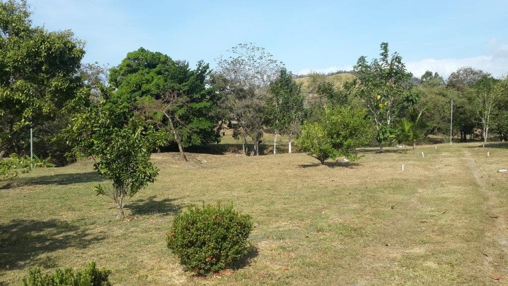 2.7 Hectares Paradise Las Lajas - Mountain & Sea Views $702K - Photo 4