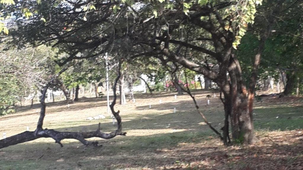 2.7 Hectares Paradise Las Lajas - Mountain & Sea Views $702K - Photo 5