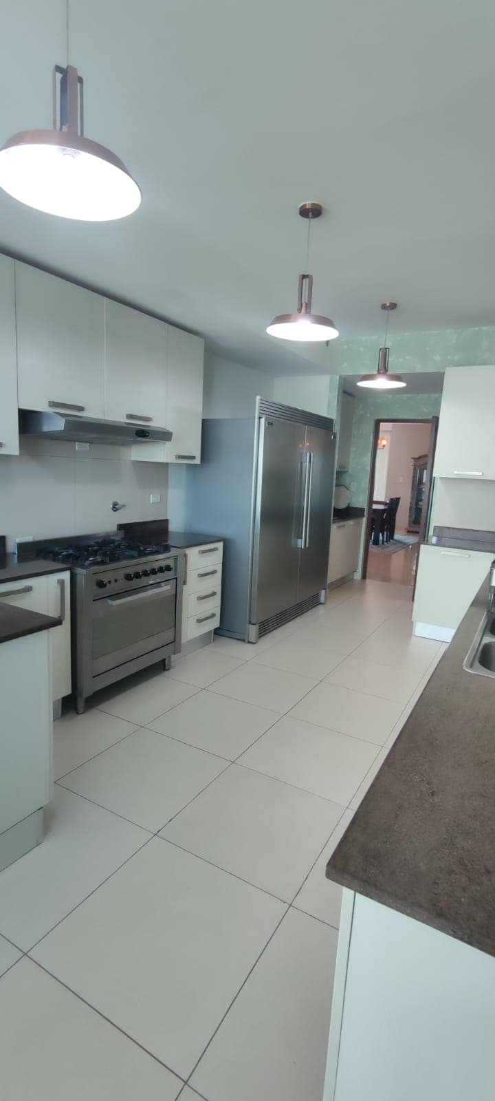 4BR Penthouse $670K - Direct Parque Omar Access Panama City - Photo 3