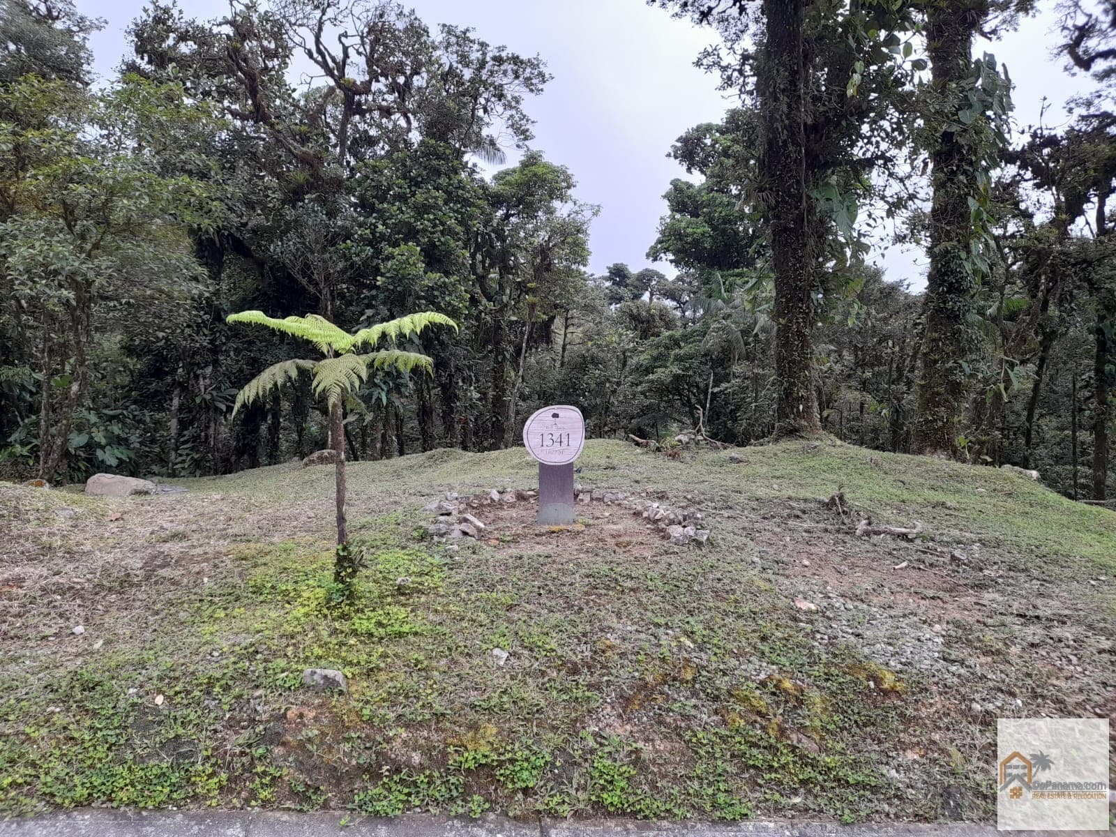 Prime Building Lot Valle Bonito, Altos del María Mountains - $95K - Photo 2