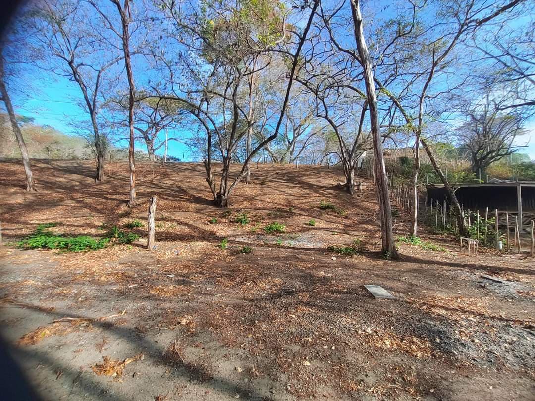 Playa Venao Beachfront Paradise | 1,511m² Direct Ocean Access $1.3M - Photo 3