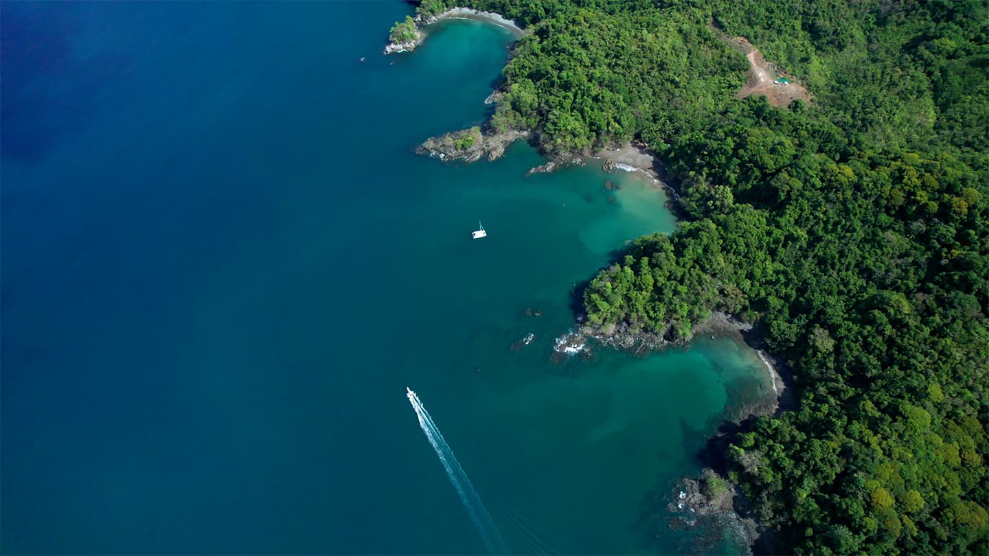 25 Hectares Ocean Paradise | Pixvae Coiba | Dive & Whale Watch Haven - Photo 2