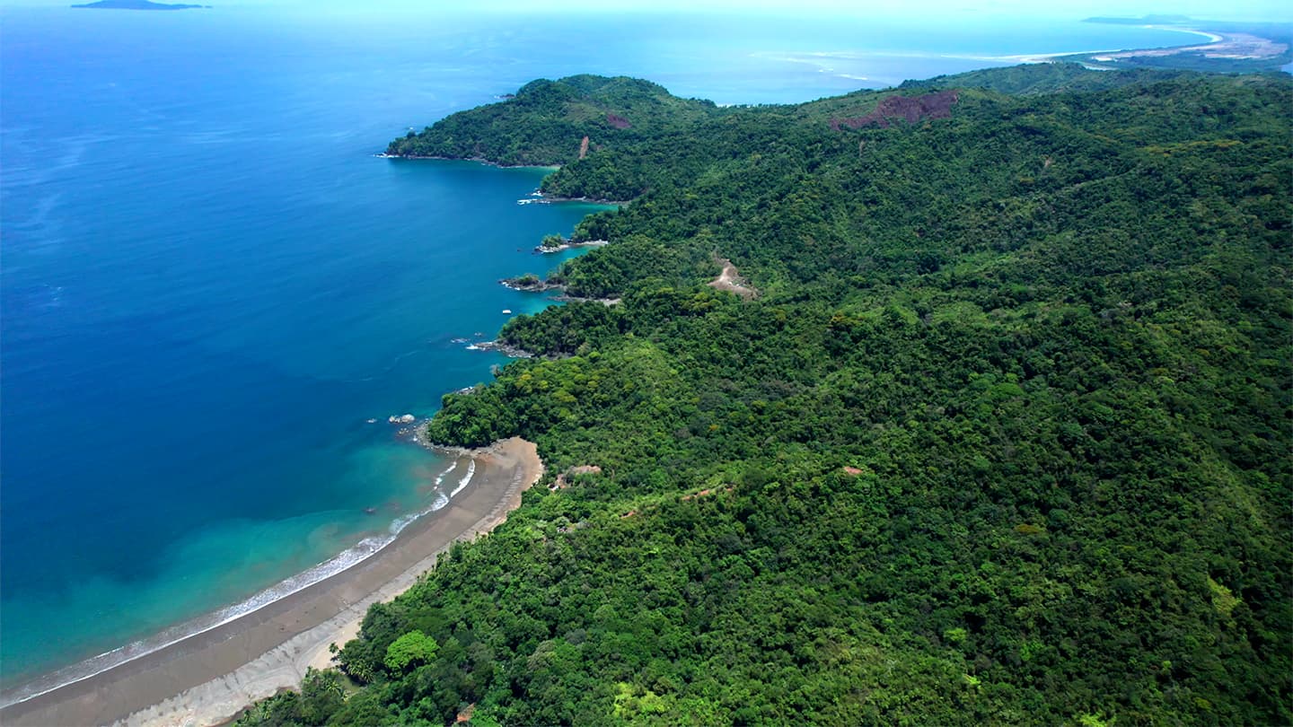 25 Hectares Ocean Paradise | Pixvae Coiba | Dive & Whale Watch Haven - Photo 4