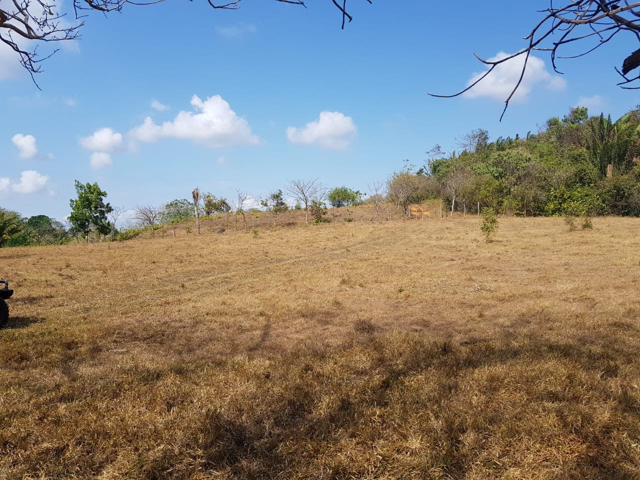 28.7 Hectares Prime Development Land La Chorrera - $2.8M Investment Opportunity - Photo 2