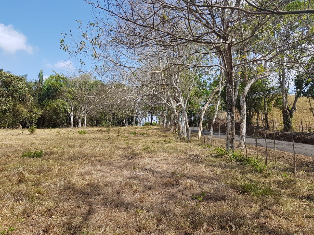 28.7 Hectares Prime Development Land La Chorrera - $2.8M Investment Opportunity - Photo 3