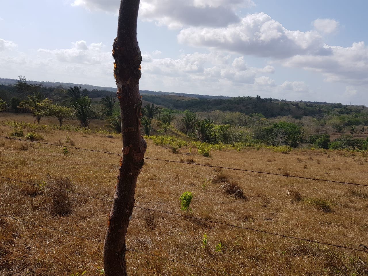 28.7 Hectares Prime Development Land La Chorrera - $2.8M Investment Opportunity - Photo 4