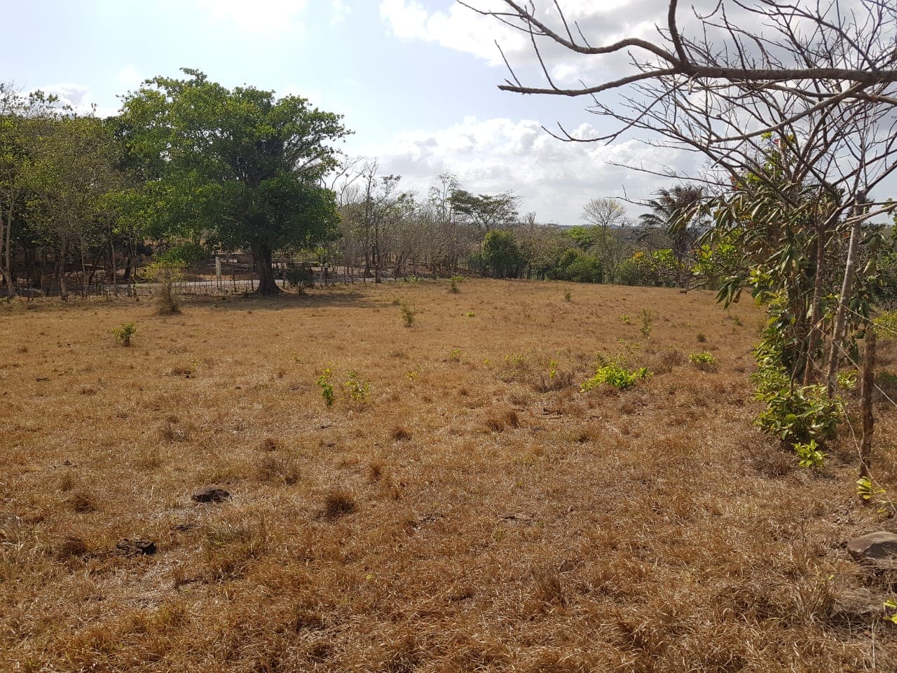 28.7 Hectares Prime Development Land La Chorrera - $2.8M Investment Opportunity - Photo 5