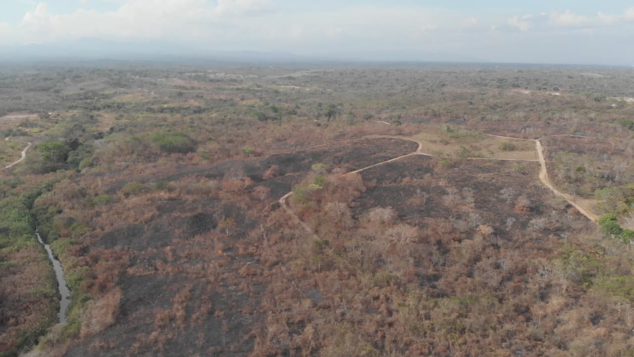 39-Hectare Pacific Paradise: San Carlos Beachfront Estate - $11M