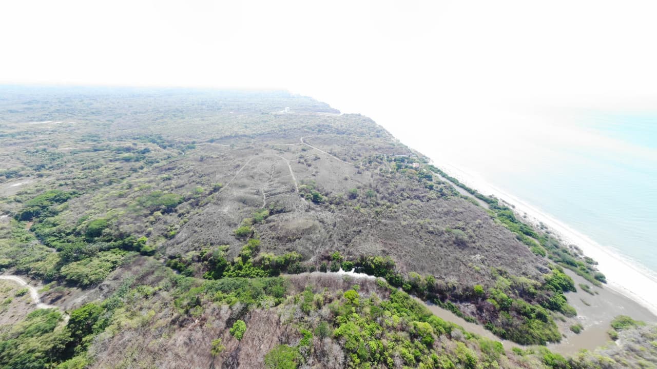 39-Hectare Pacific Paradise: San Carlos Beachfront Estate - $11M - Photo 2