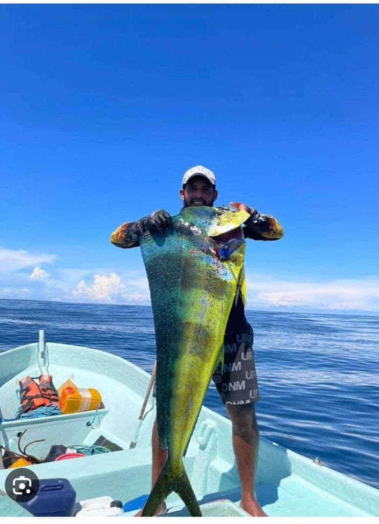 Pristine 1.5 Hectare Beachfront Estate Site - Pedasí's Premier Development - Photo 3