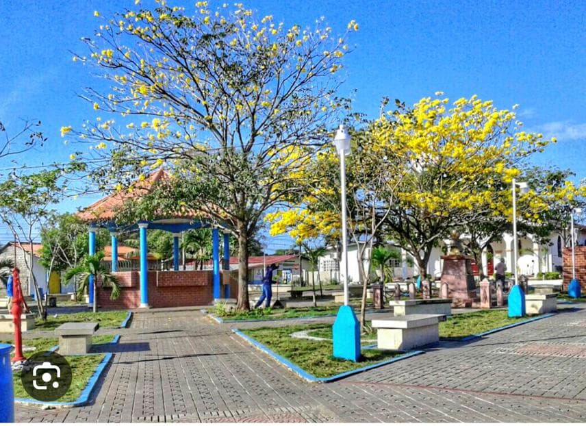 Pristine 1.5 Hectare Beachfront Estate Site - Pedasí's Premier Development - Photo 4