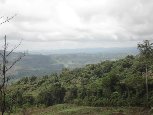 Sierra Llorona: 151-Hectare Atlantic Paradise in Historic Portobelo - Photo 2