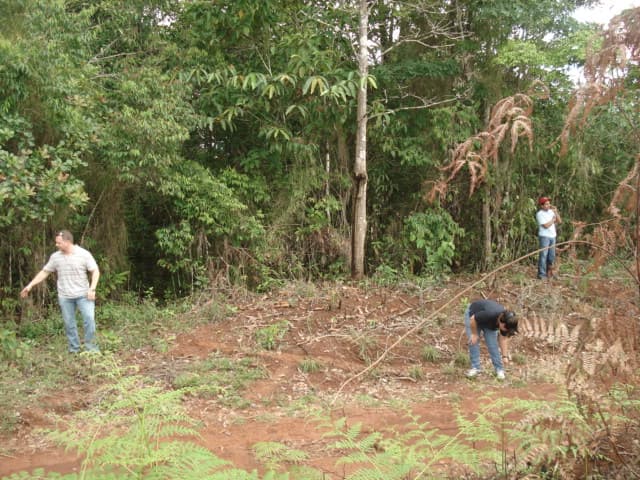 Sierra Llorona: 151-Hectare Atlantic Paradise in Historic Portobelo - Photo 3