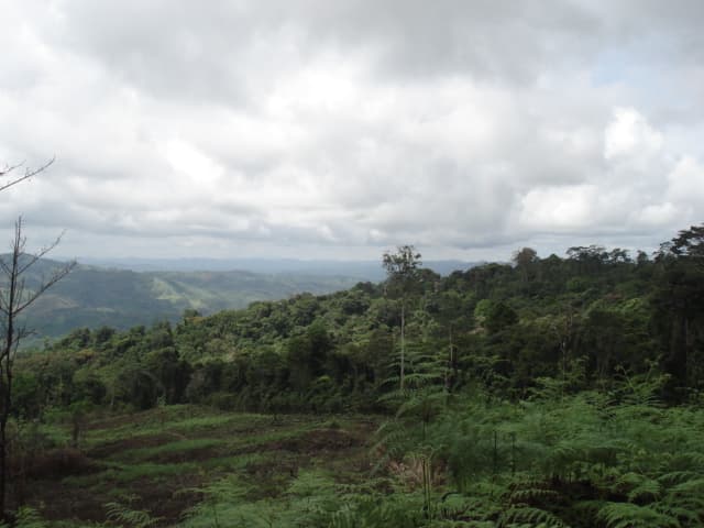 Sierra Llorona: 151-Hectare Atlantic Paradise in Historic Portobelo - Photo 4