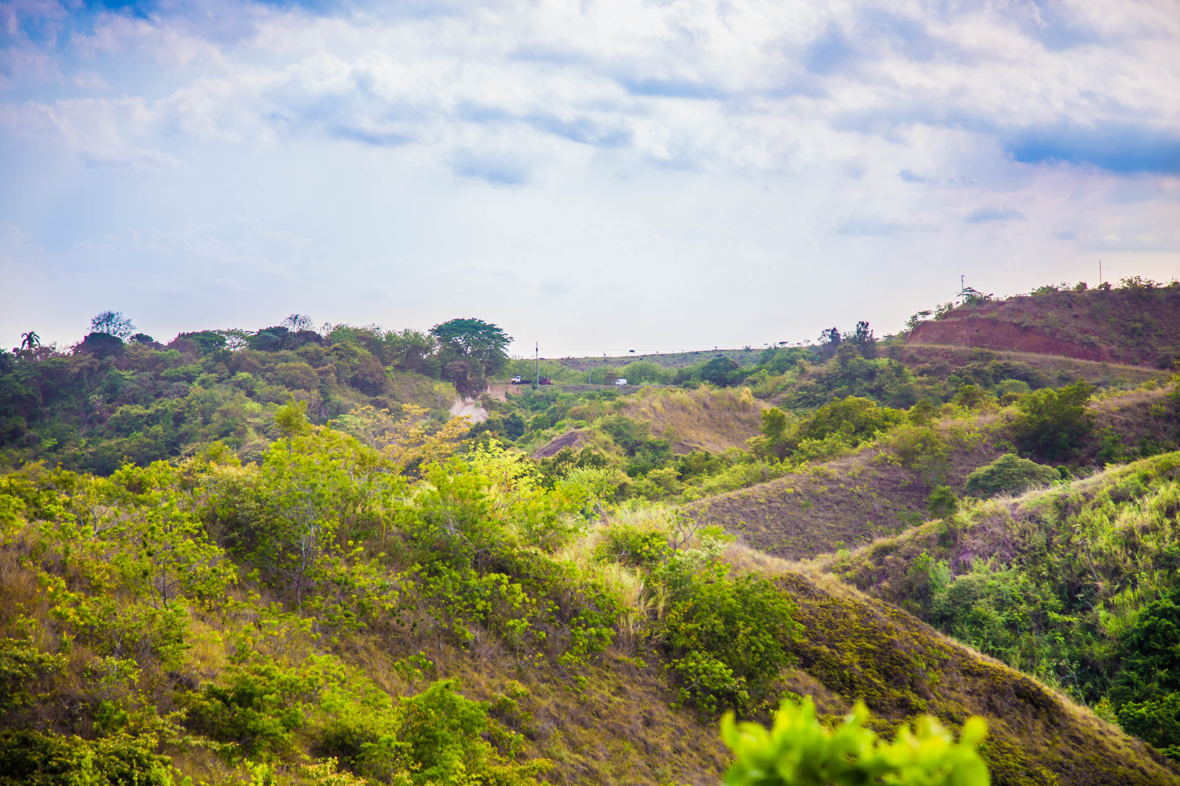 12-Hectare Pacific Paradise | San Carlos Development Land $228,888 - Photo 2