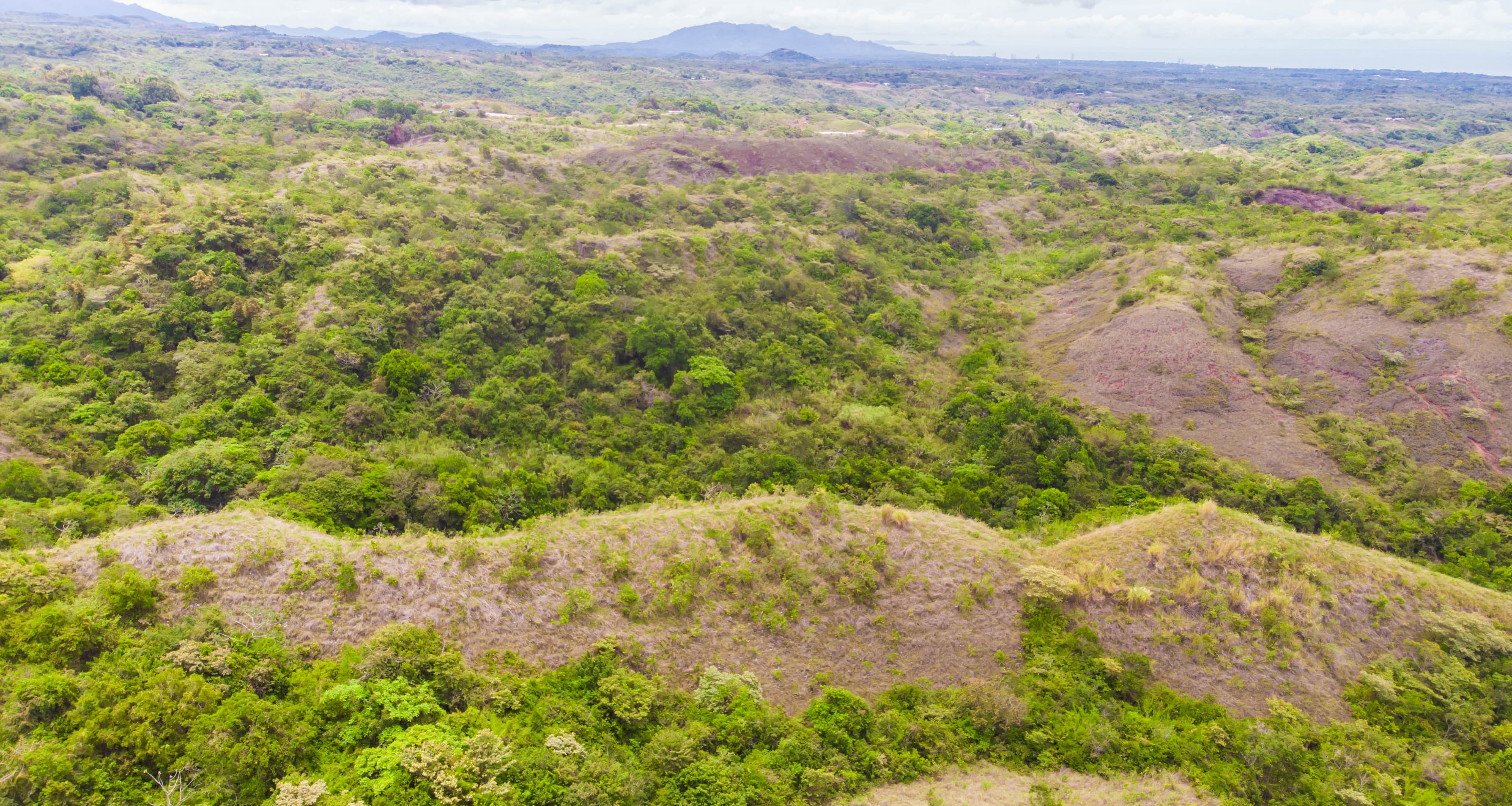 12-Hectare Pacific Paradise | San Carlos Development Land $228,888 - Photo 4