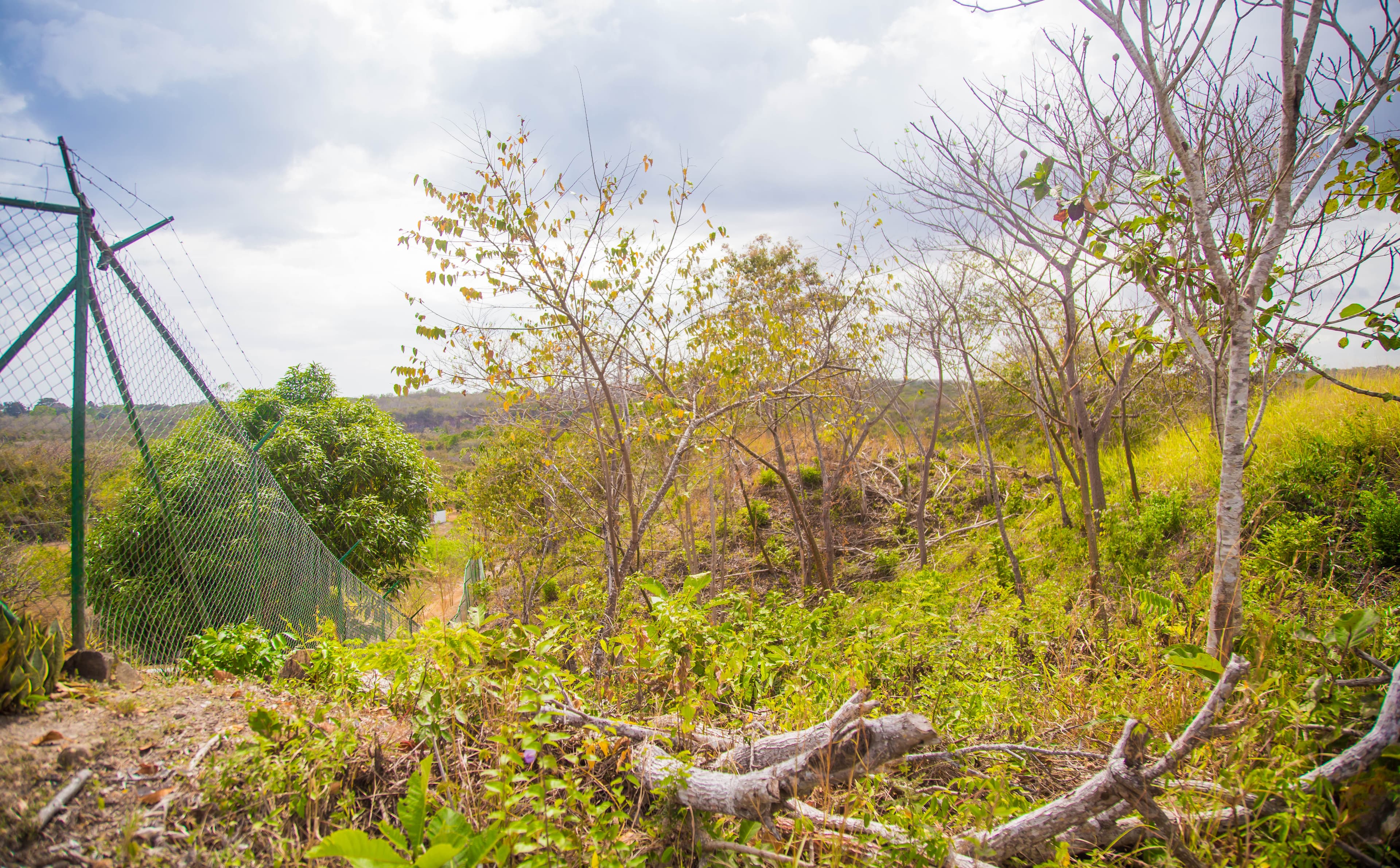 5,843m² Beachside Land Near Playa La Ermita, San Carlos - $135K - Photo 2