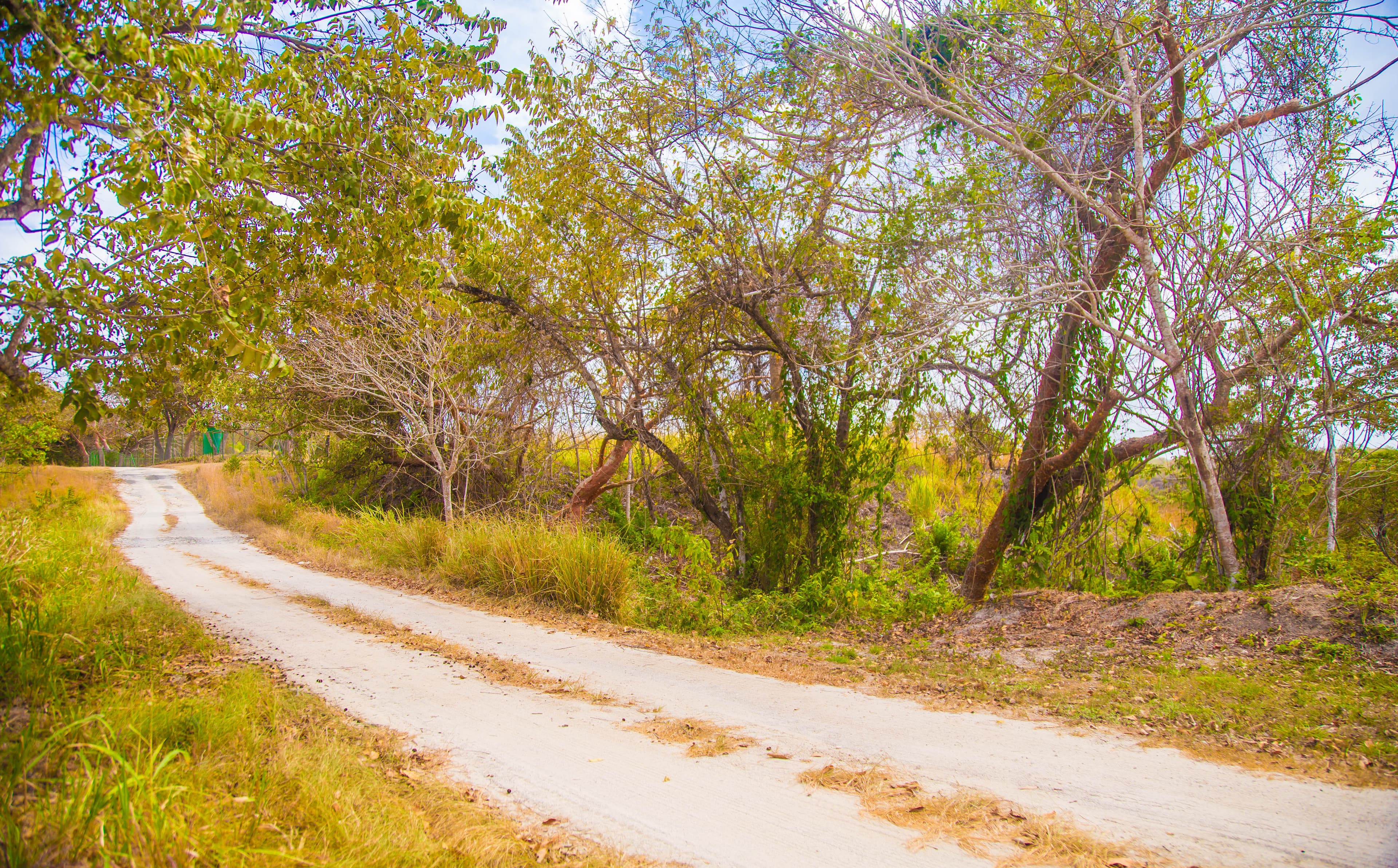 5,843m² Beachside Land Near Playa La Ermita, San Carlos - $135K - Photo 3