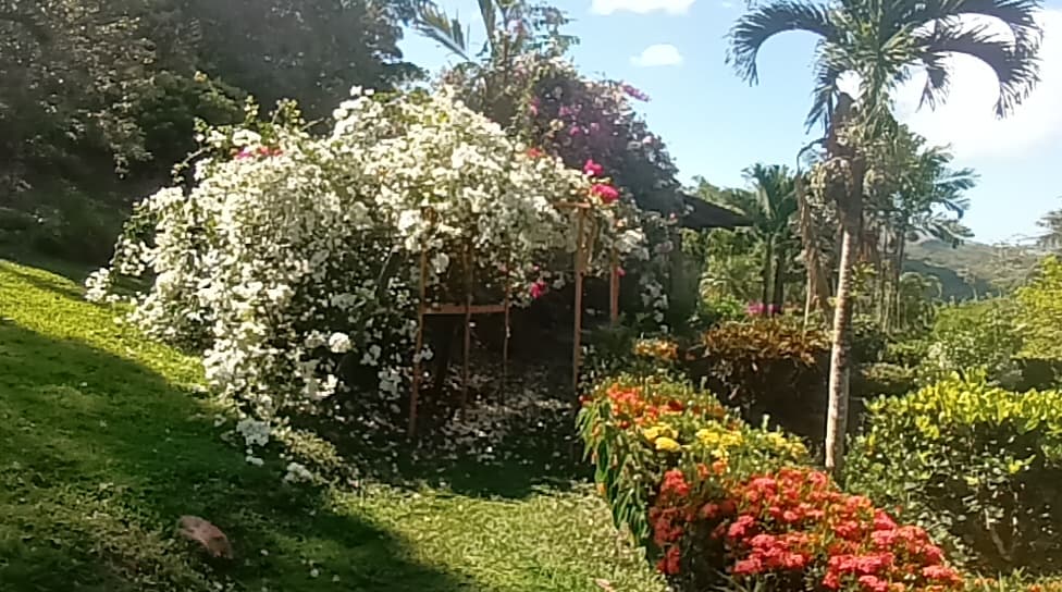 6BR Mountain Resort Estate w/ 5 Income Casitas - Santa Fe, Veraguas - Photo 4