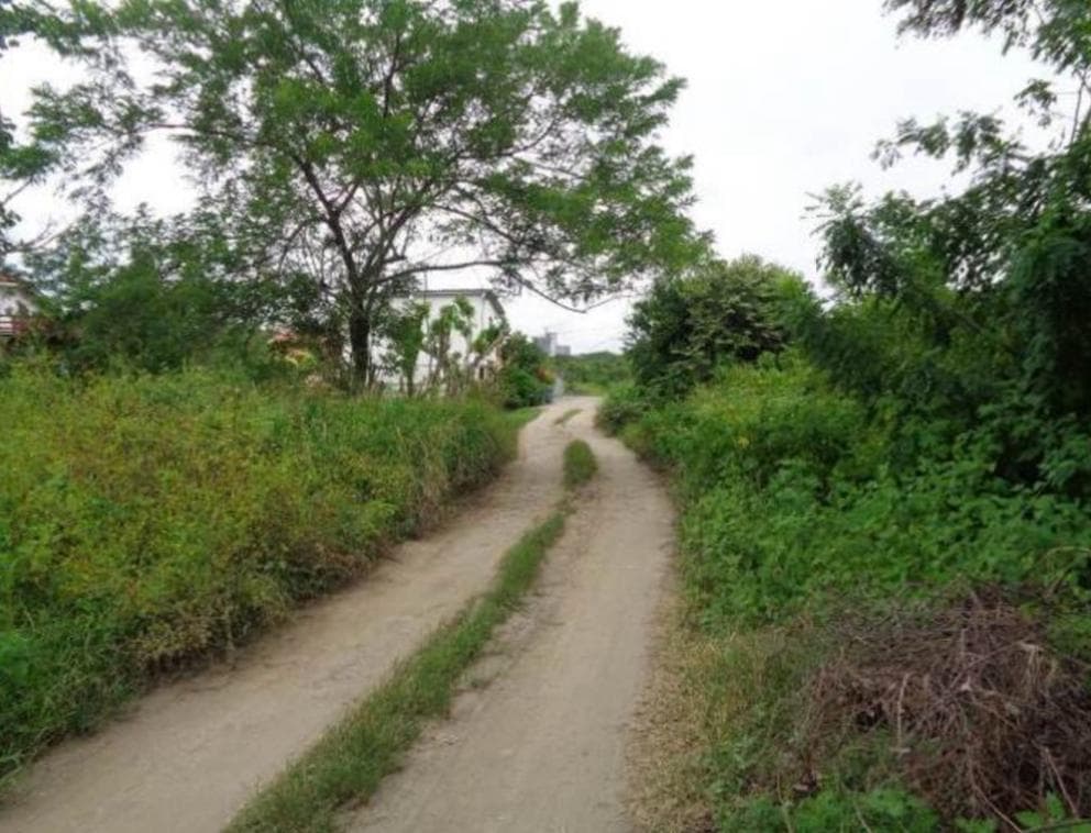 Prime Beachside Land Nueva Gorgona 782m² - Steps from Malibu Beach - Photo 2