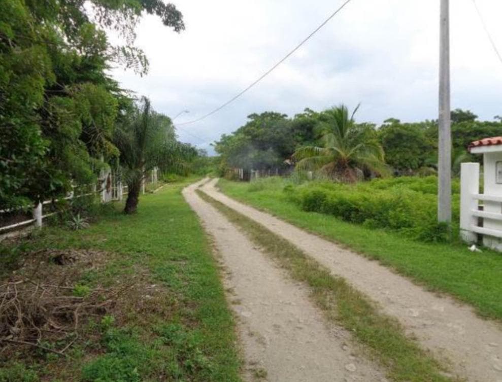 Prime Beachside Land Nueva Gorgona 782m² - Steps from Malibu Beach - Photo 3