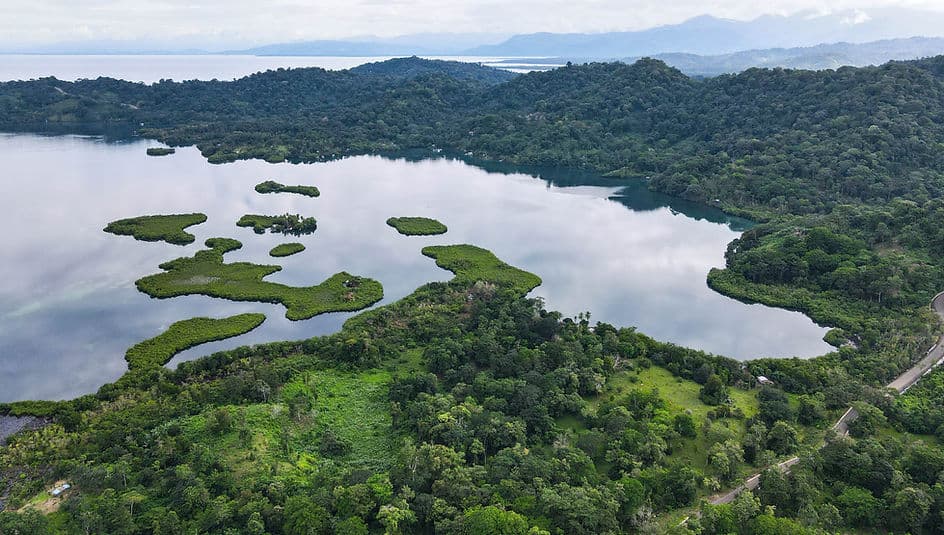 Paradise Found: Elevated Jungle Lots with Sea Views from $42,500 in Bocas