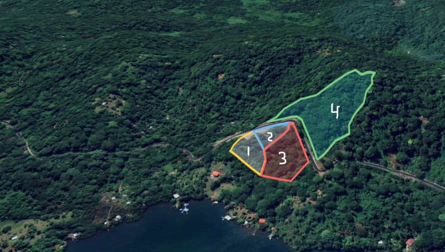 Paradise Found: Elevated Jungle Lots with Sea Views from $42,500 in Bocas - Photo 3