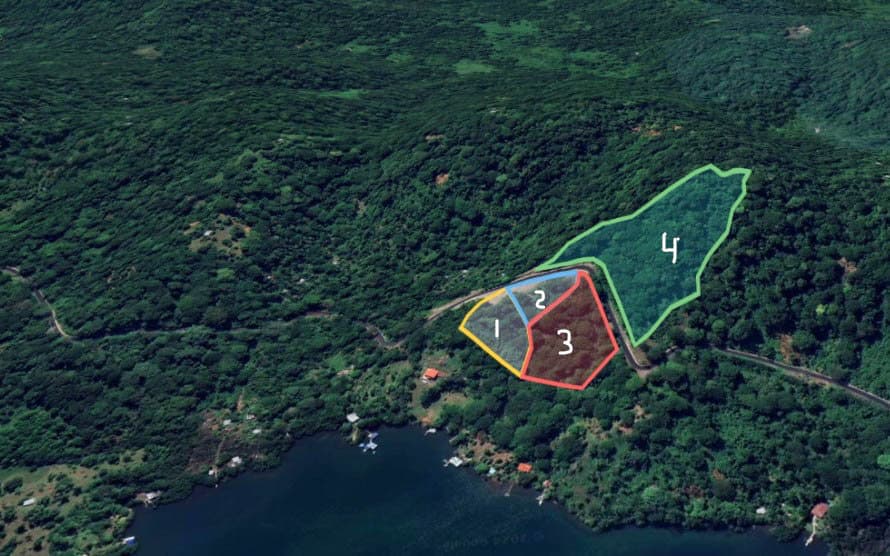 Paradise Found: Elevated Jungle Lots with Sea Views from $42,500 in Bocas - Photo 5