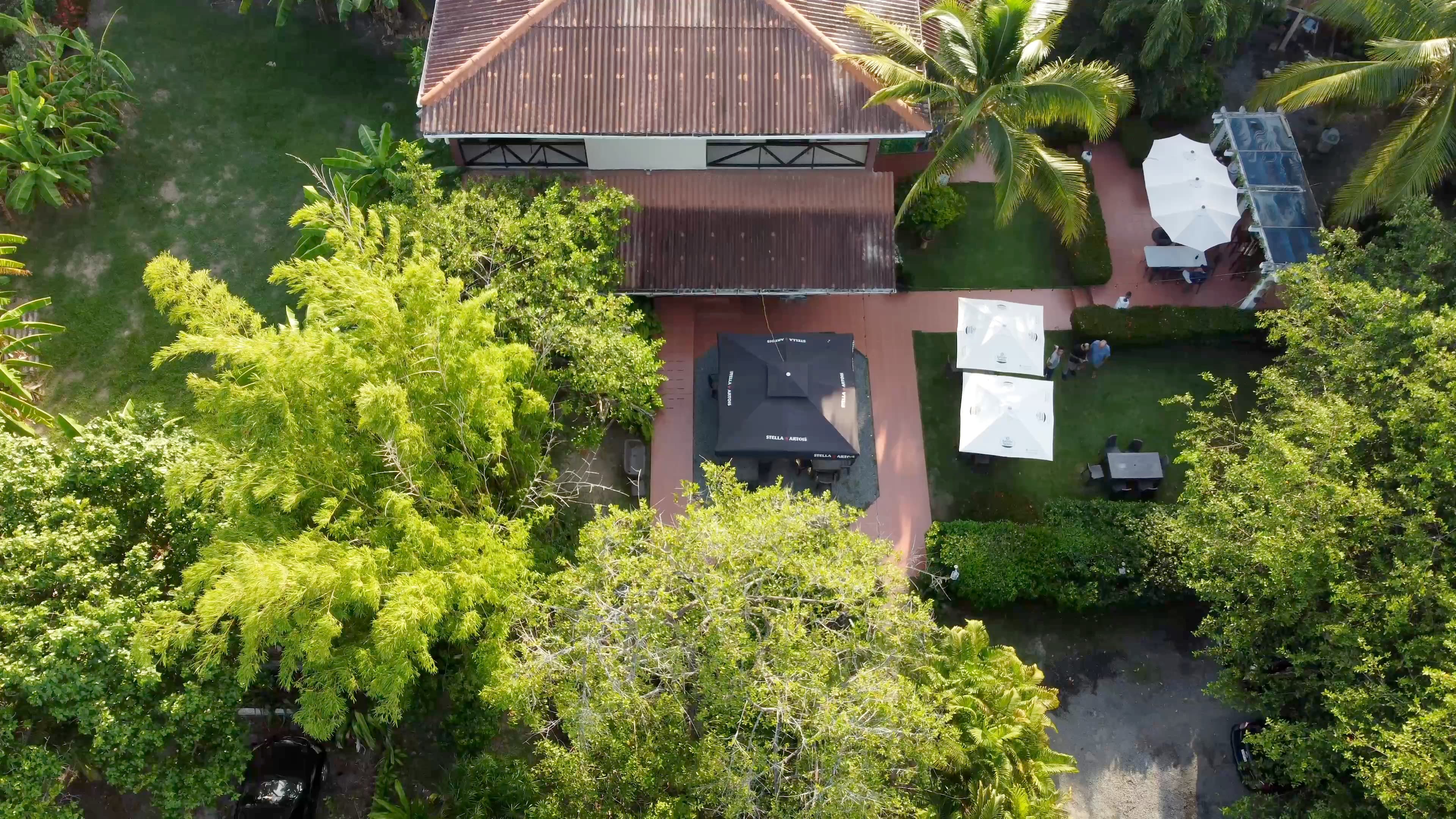 El Palmar Boutique Hotel – Beachside Investment Paradise $950k Panama