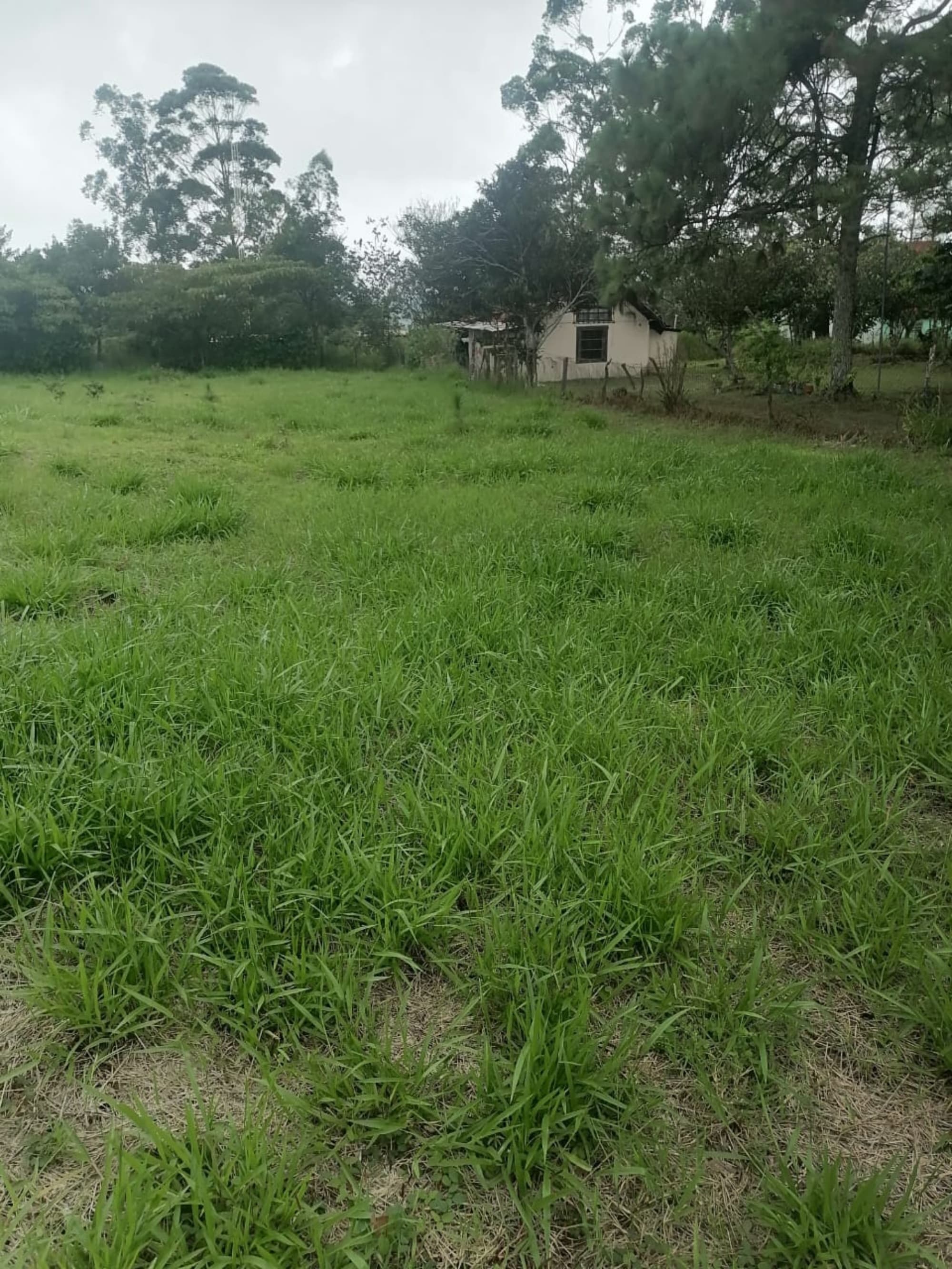 Volcán Barú Views: 1,000m² Ready-to-Build Lot in Panama's Highland Paradise - Photo 2