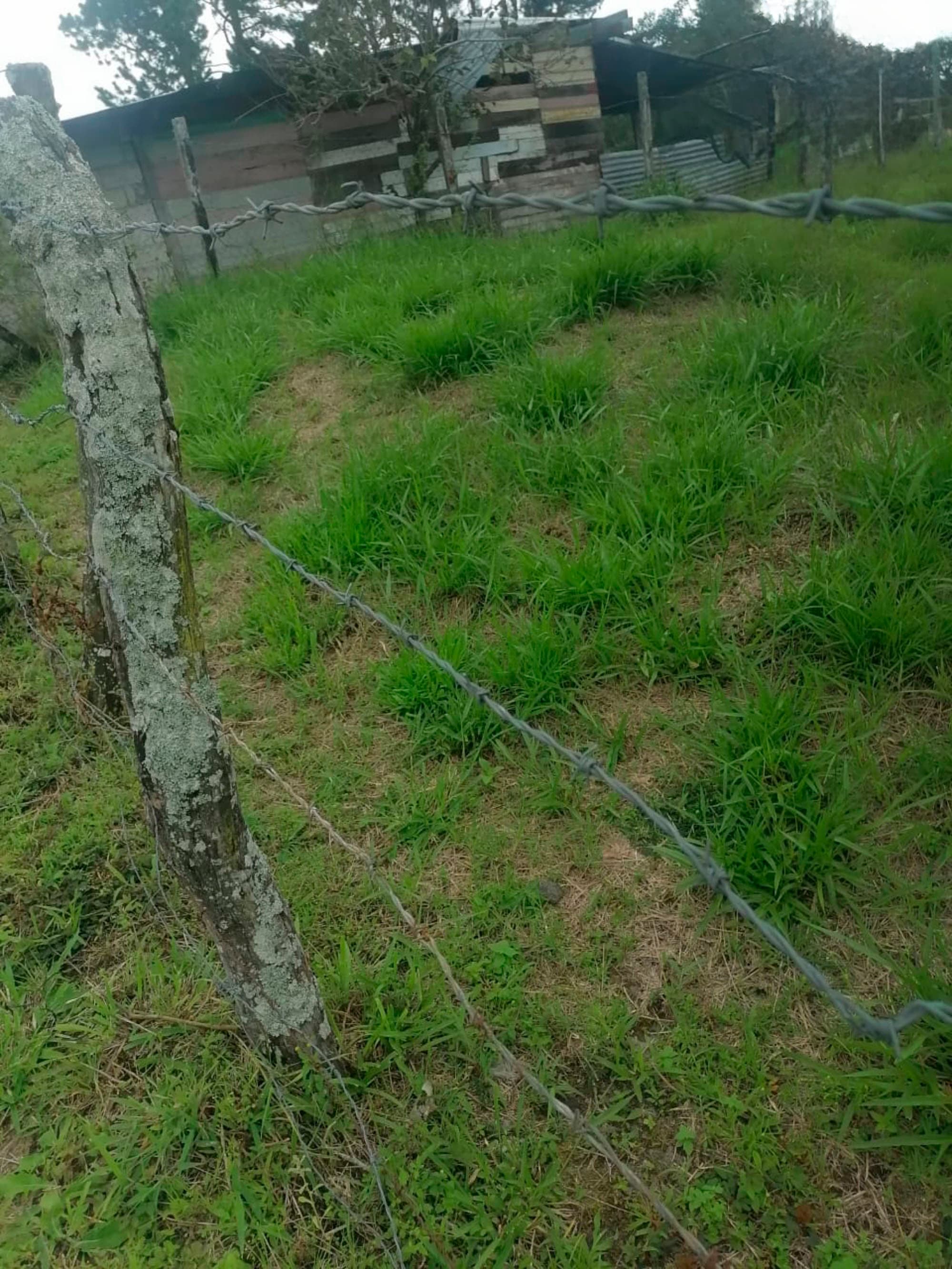 Volcán Barú Views: 1,000m² Ready-to-Build Lot in Panama's Highland Paradise - Photo 4