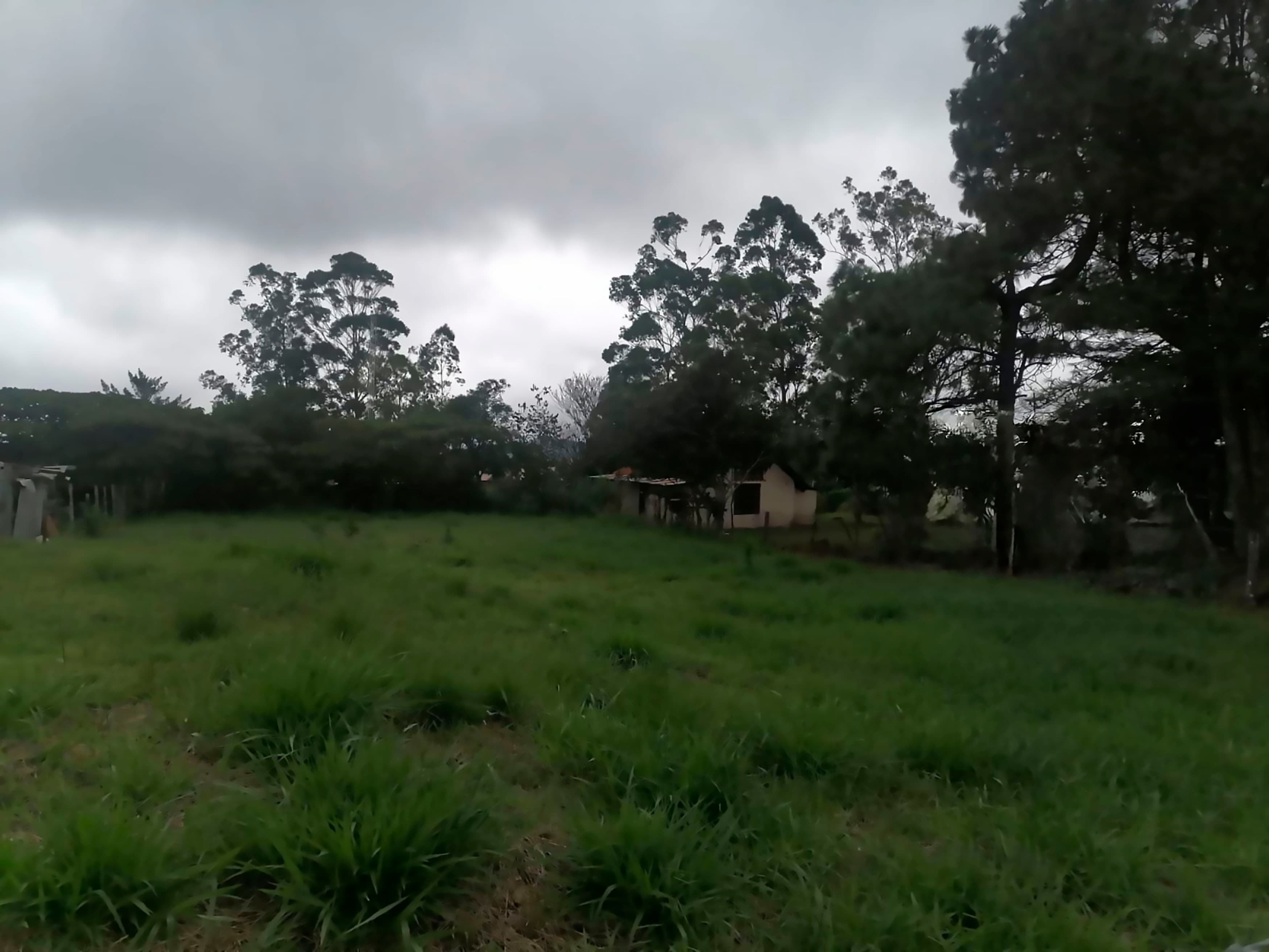 Volcán Barú Views: 1,000m² Ready-to-Build Lot in Panama's Highland Paradise - Photo 5