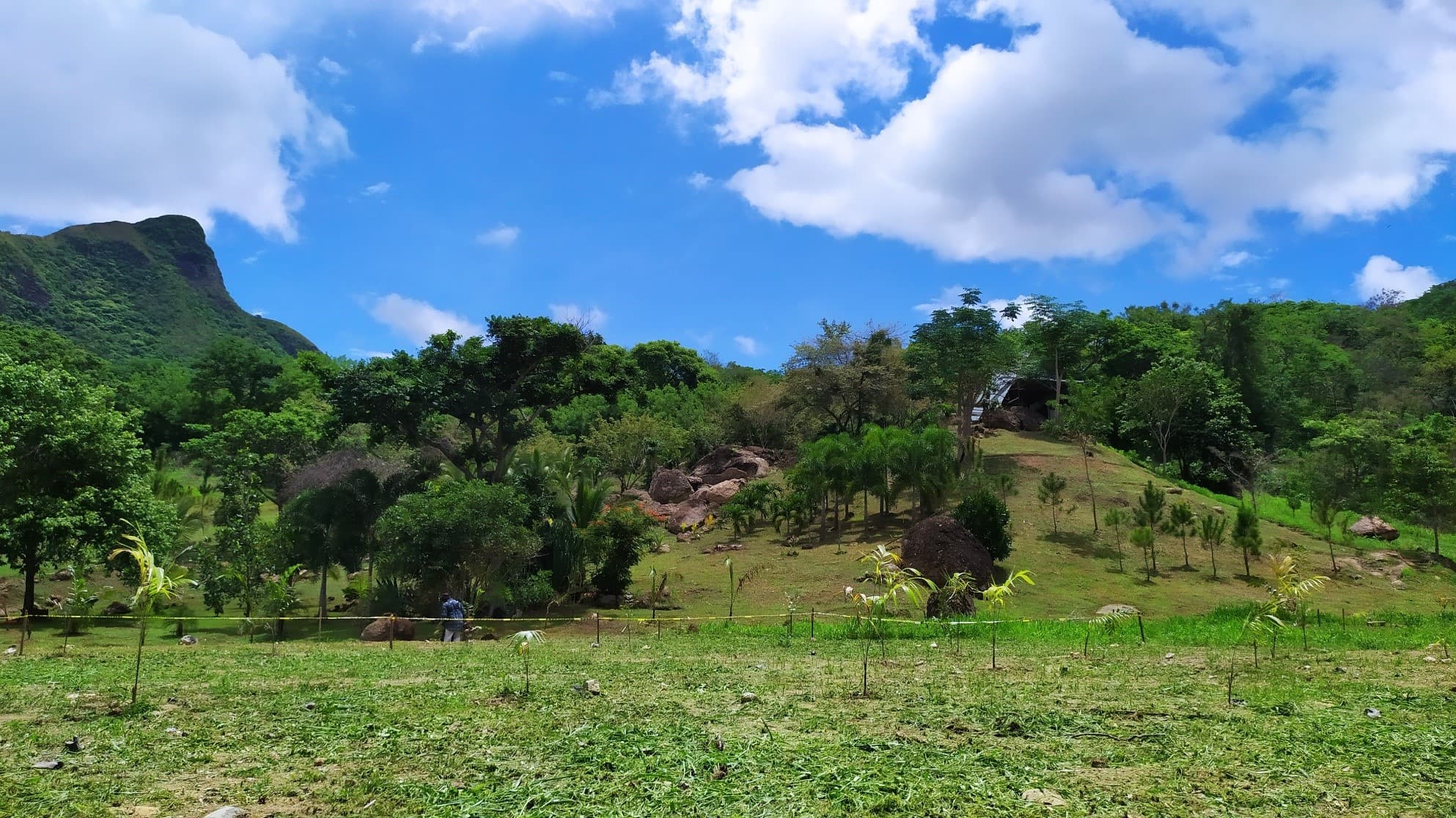 7-Hectare Paradise Estate w/ Cabin & Ponds - La Pintada $2.8M