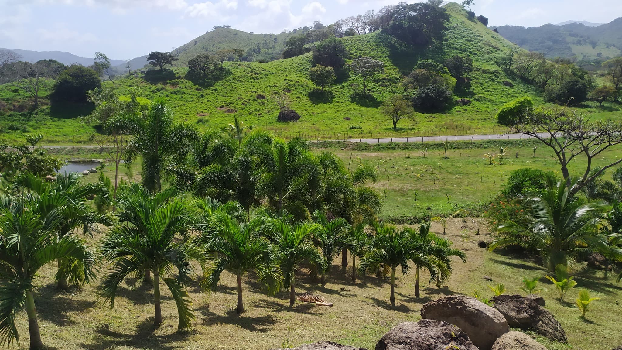 7-Hectare Paradise Estate w/ Cabin & Ponds - La Pintada $2.8M - Photo 3