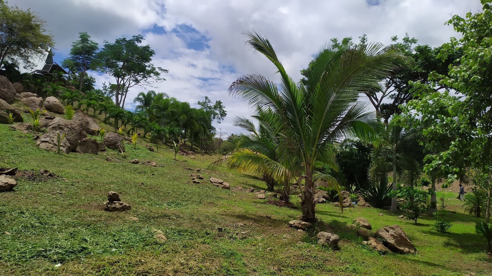 7-Hectare Paradise Estate w/ Cabin & Ponds - La Pintada $2.8M - Photo 4