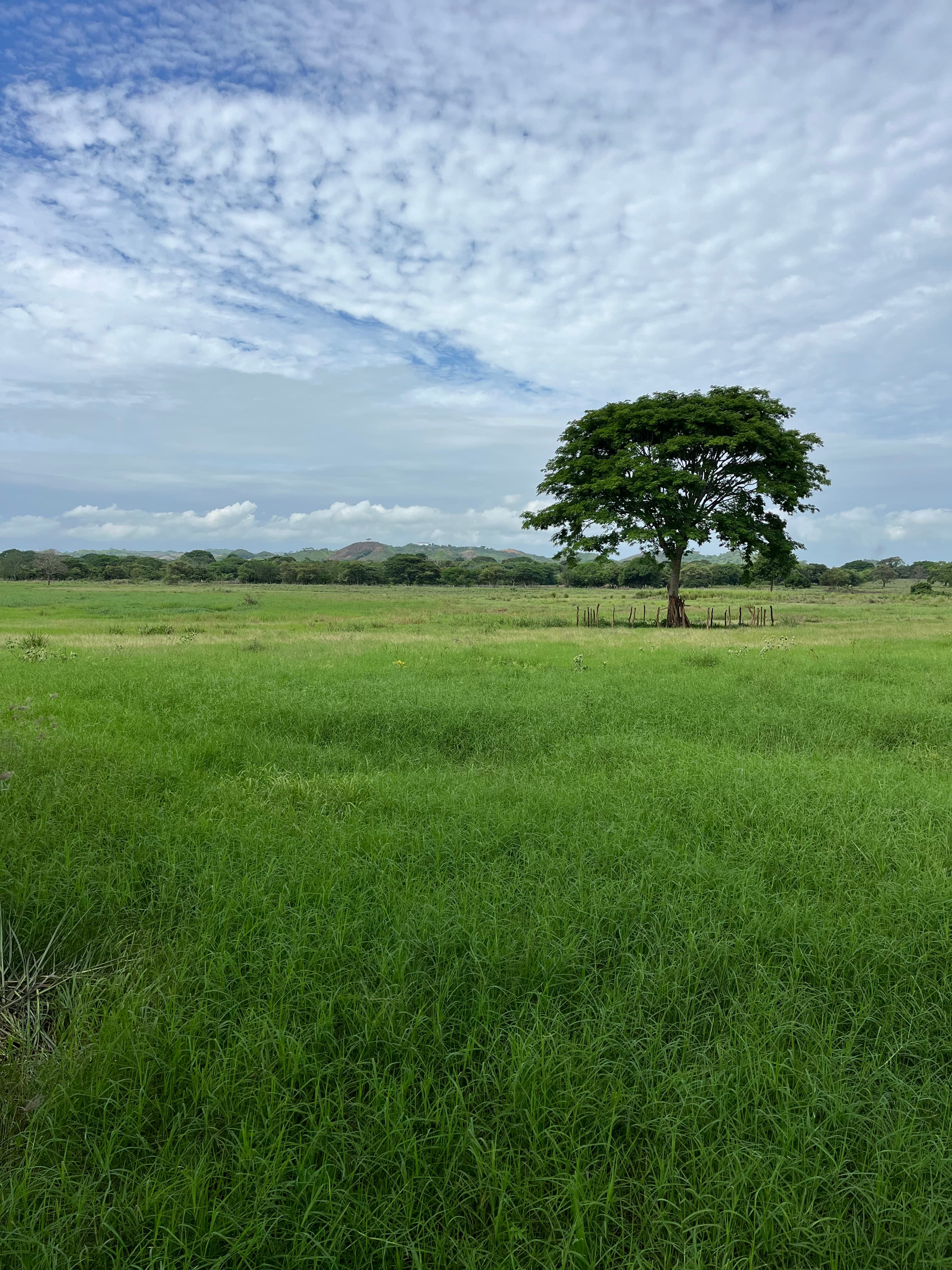 15.4 Hectares of Paradise: Mountain View Land in Chitré, Herrera