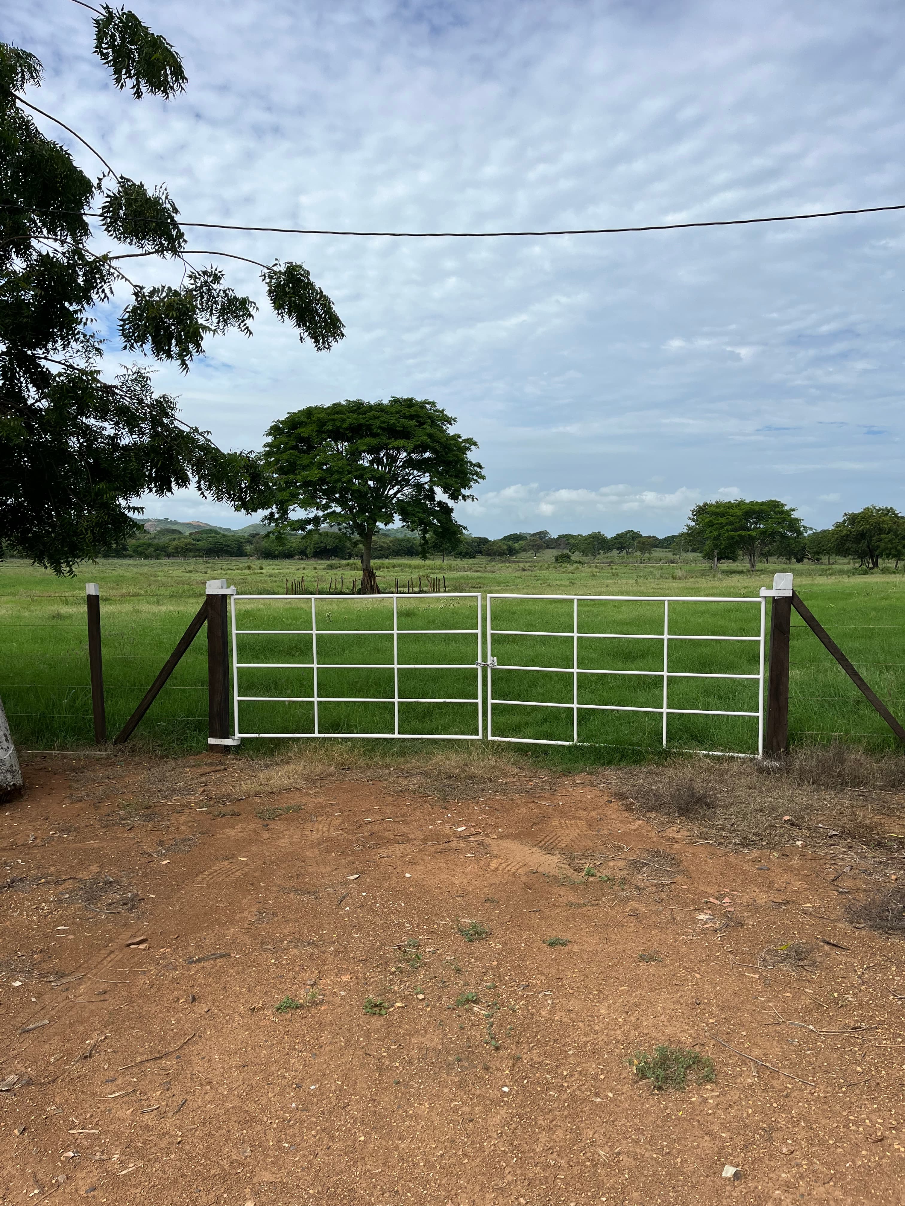 15.4 Hectares of Paradise: Mountain View Land in Chitré, Herrera - Photo 2