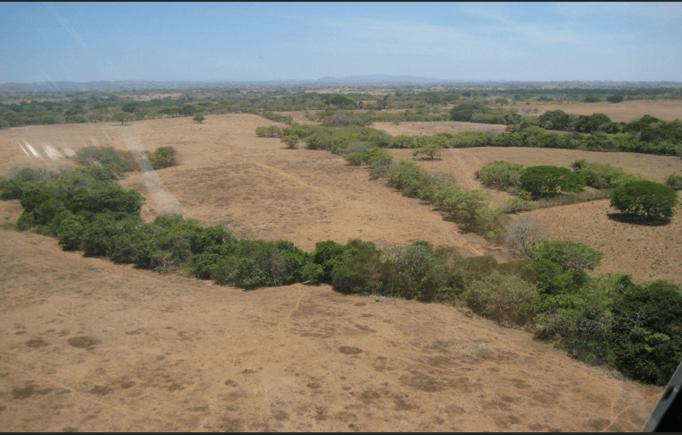 79.1-Hectare Beachfront Estate Land in Pedasí - $9M Development Paradise - Photo 3