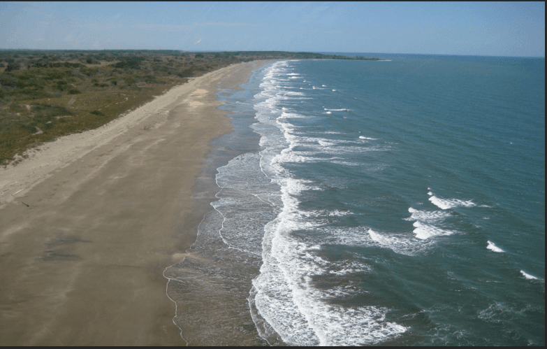 79.1-Hectare Beachfront Estate Land in Pedasí - $9M Development Paradise - Photo 4