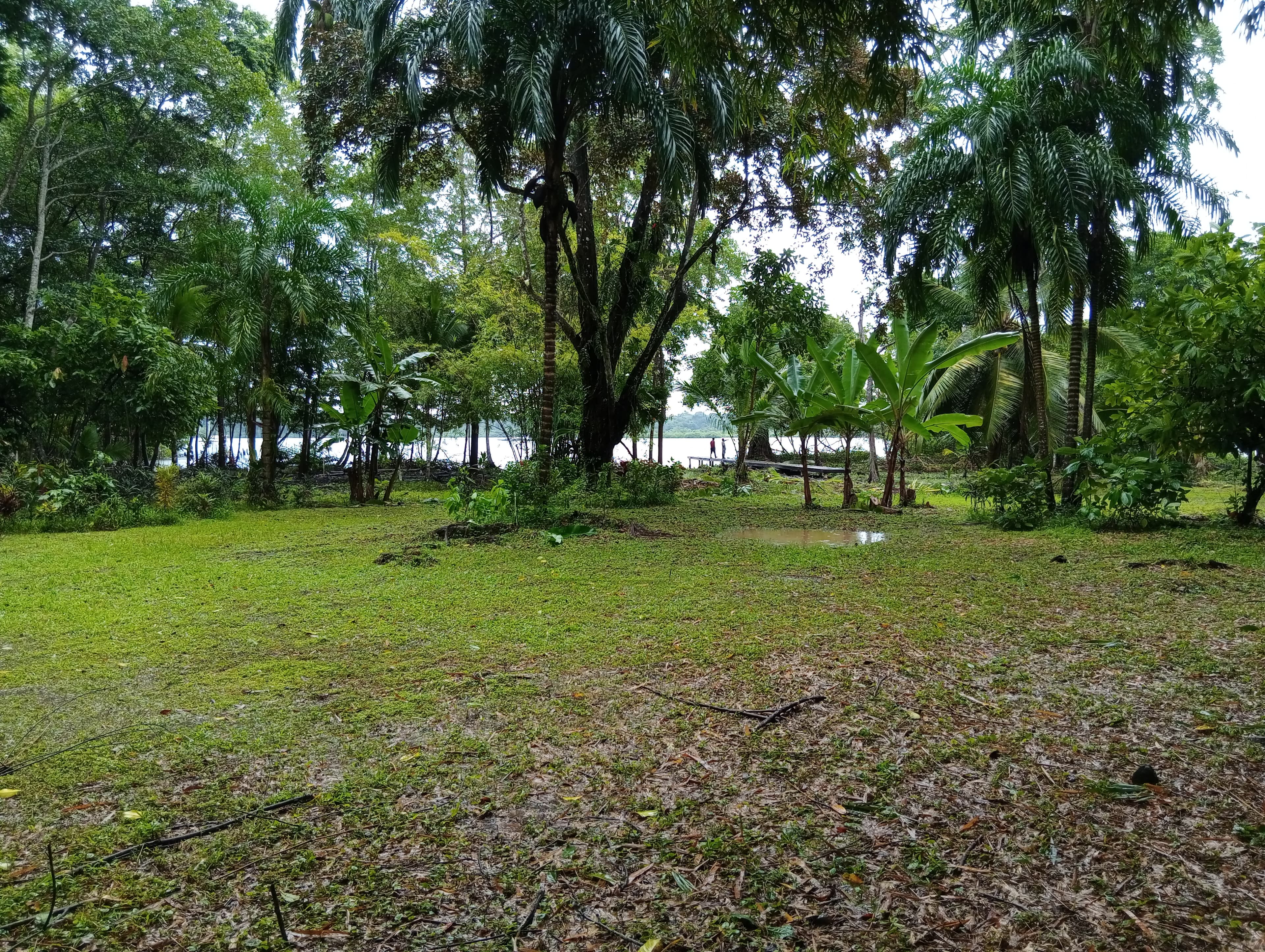 1.5-Acre Private Waterfront Paradise - Tierra Oscura, Bocas del Toro