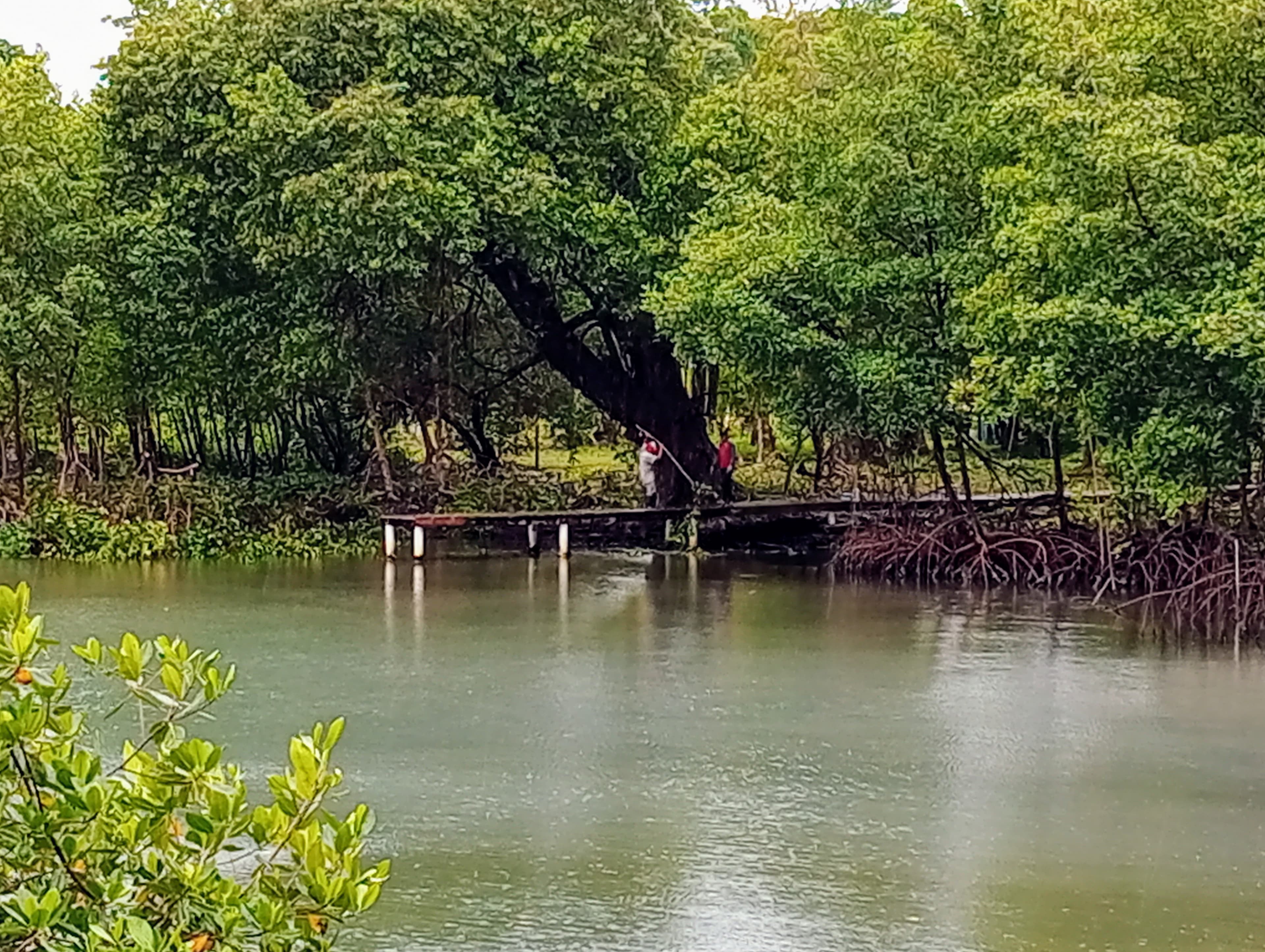 1.5-Acre Private Waterfront Paradise - Tierra Oscura, Bocas del Toro - Photo 2