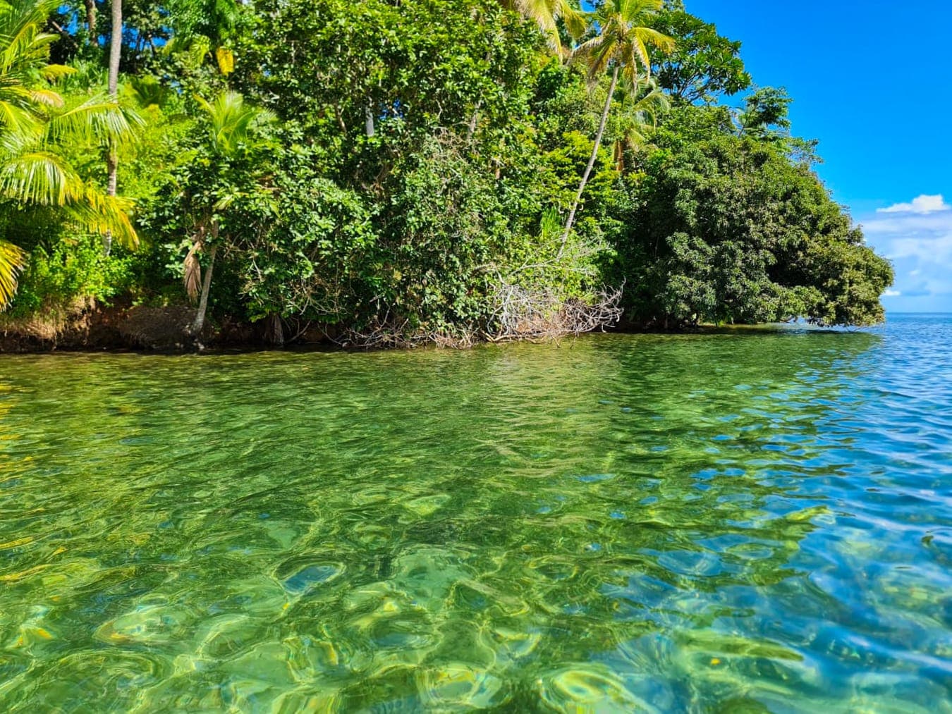 Caribbean Waterfront Estate Punta Laurel - 7.9 Acres + 120m Private Beach - Photo 2