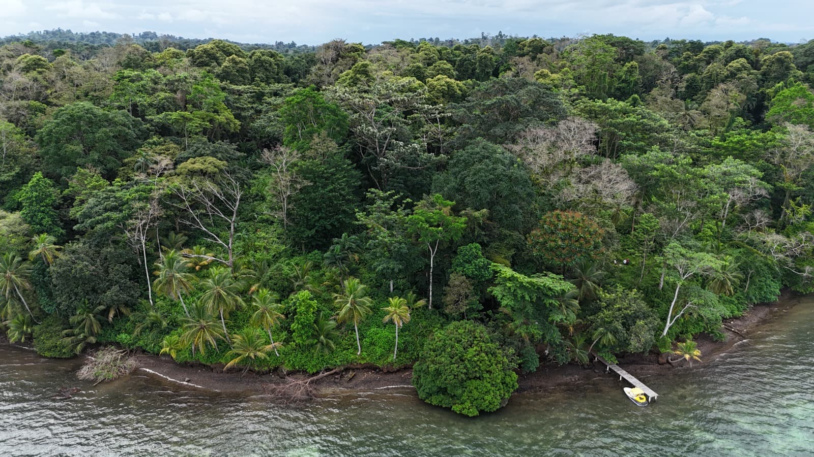 Caribbean Waterfront Estate Punta Laurel - 7.9 Acres + 120m Private Beach - Photo 3