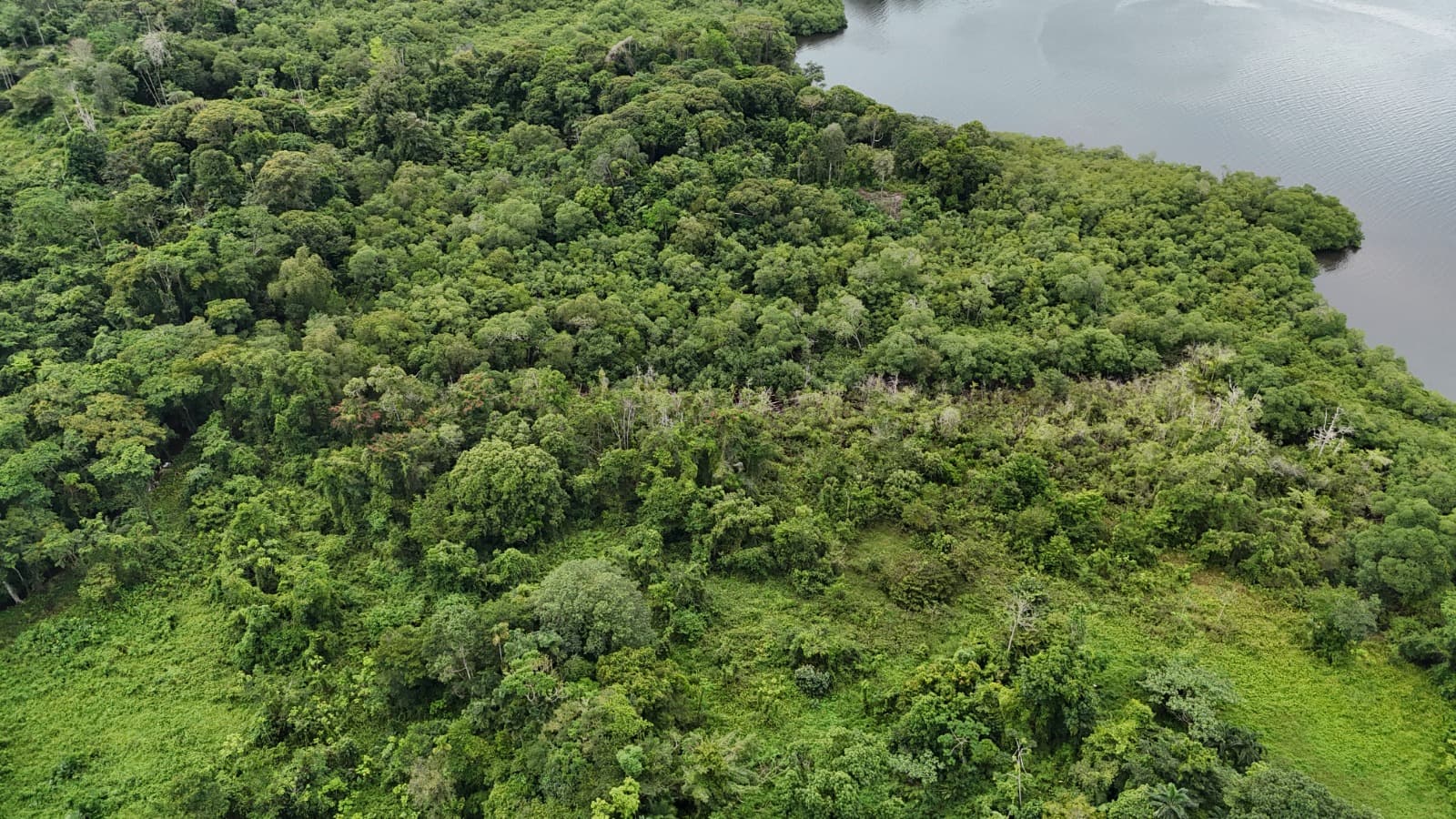 Caribbean Waterfront Estate Punta Laurel - 7.9 Acres + 120m Private Beach - Photo 4