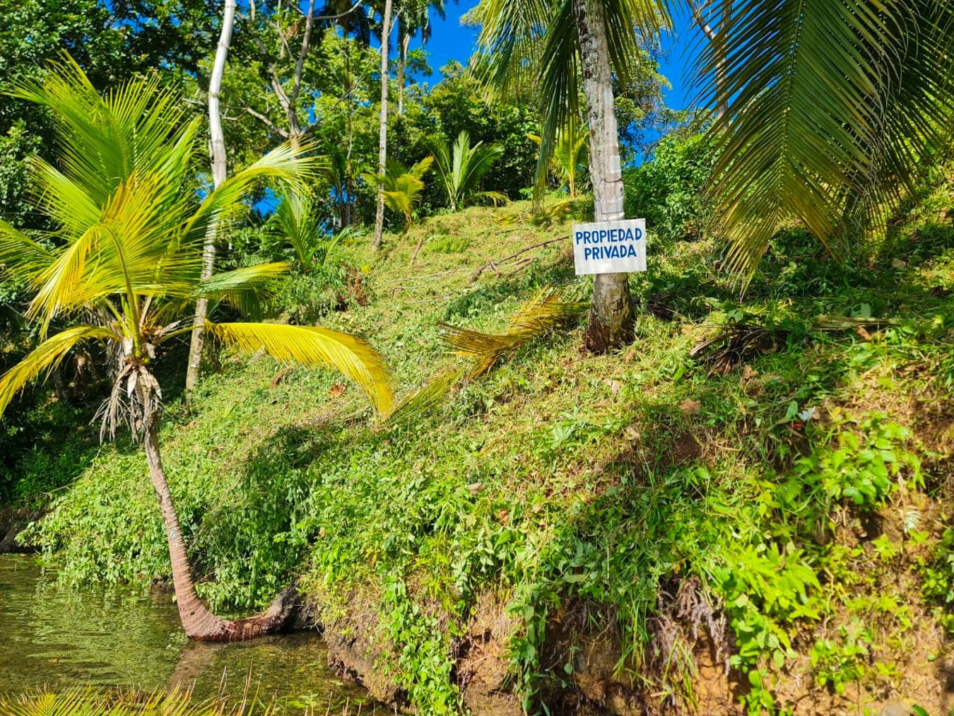 Caribbean Waterfront Estate Punta Laurel - 7.9 Acres + 120m Private Beach - Photo 5