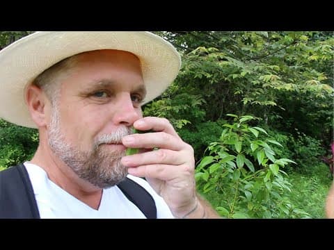 Do you smell that SMELL? - DoPanama.com - Episode 7 - Travel Vlog
